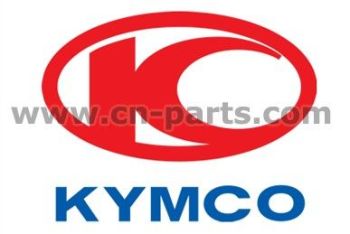 Silindripea kaane sisemine plekk 50-89cc - GY6,139QMB/QMA