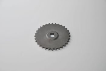 Õli pumba hammasratas