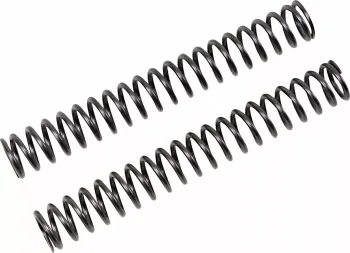 FF SPRING KIT 25.5/260/9.5