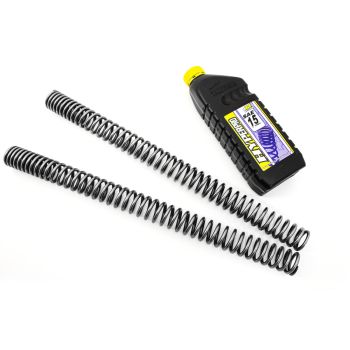 FORK SPRINGS BMW F 750 GS (+ E