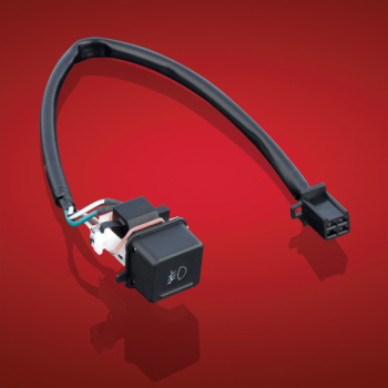 REPLACEM FOG LGHT SWTCH