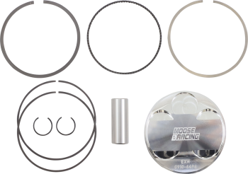PISTON KIT RAPT/RHIN660