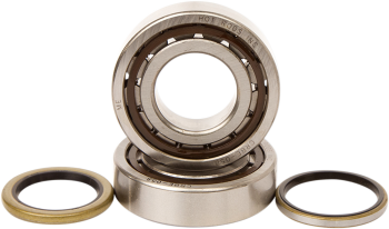BEARINGS CRANK K069