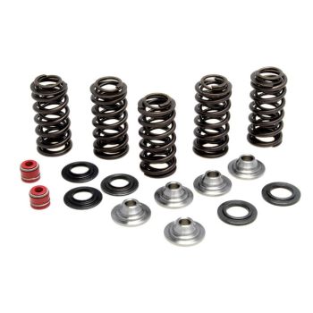 YZ250F SPRING KIT 00-03