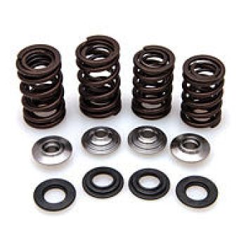 CRF450 VALVE SPRING KIT