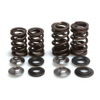 SPRING KIT VALVE TRX450R