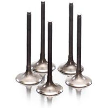 VALVE IN STEEL YFM350R 87-12