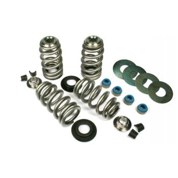 VALVE SPRINGS BHIVE 05-17