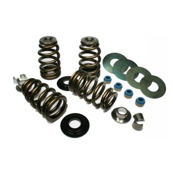 VALVE SPRNGS 05-17 TC