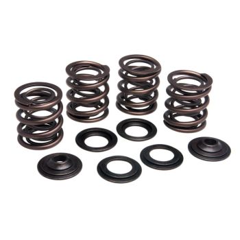 SPRING KIT VLV OE 36-47BT