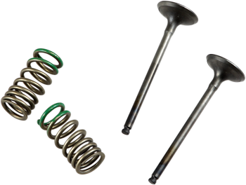 VALVE EX/SPRING KIT YZ/WR250F