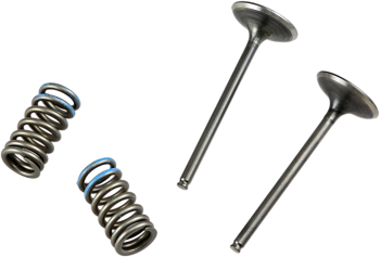 VALVE IN/SPRING KIT CRF250R