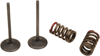 VALVE IN/SPRING KX250F+RMZ250