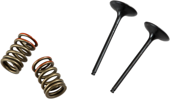 VALVE IN/SPRING KIT KX250F