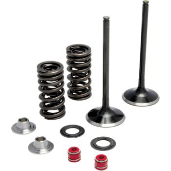 VALVE KIT EX MSE YZ450F