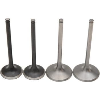 VALVE KIT MSE PRO TRX450X