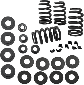 SPRING KIT VALVE .585