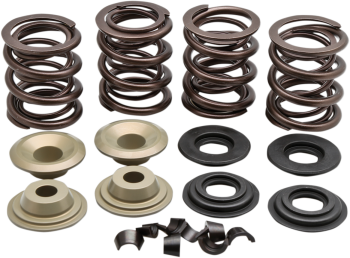 SPRING KT L79-84 BT .600S