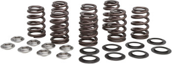 SPRING KIT BEEHIVE M8 TI