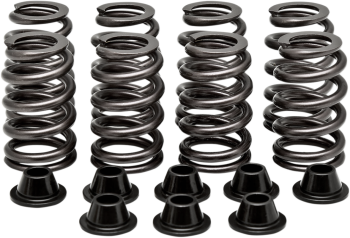 SPRING KIT BH RZR 900