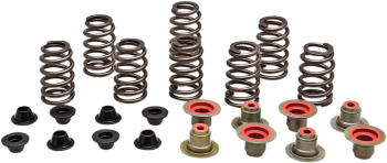 SPRING KT RZR XP1000 14+