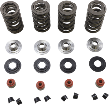 SPRING KIT 05-17 TC/XL