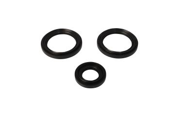 DIFFERENTIAL SEAL KIT RR