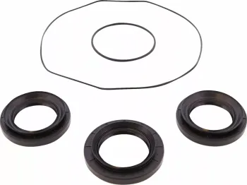 DIFFERENTIAL SEAL ONLY KIT REA