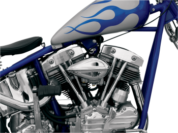 AIR CLEANER TRDRP RBBD SS