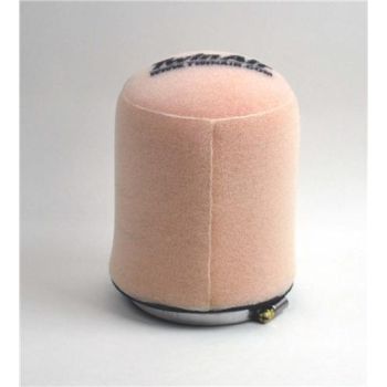 AIR FILTER TWIN AIR CA-AM