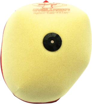 AIR FLTR EVO RMZ 450