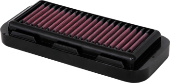 AIR FILTER INDIAN CHLNGR