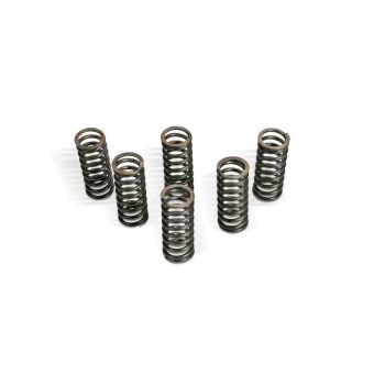 CLUTCH SPRING KIT KAW