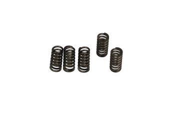 CLUTCH SPRING SET (6 PCS)