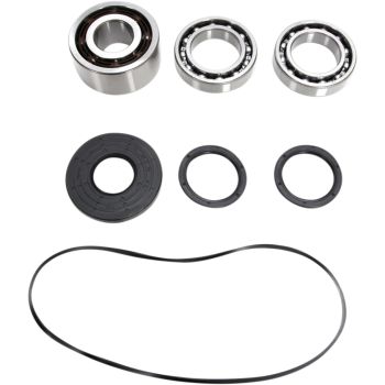 BEARING KIT DIFFERENTIAL FT PO