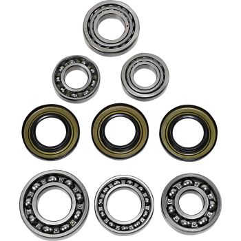 DIF BEARING SEAL KIT RR