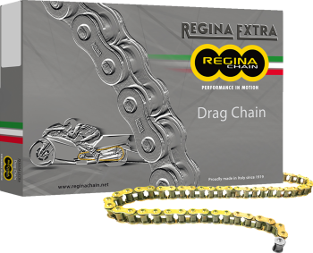 CHAIN 530DR GB 130C+RS