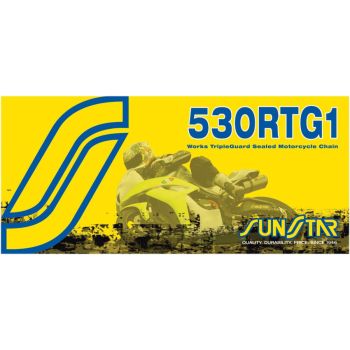 CHAIN SS530RTG1 GG 120R