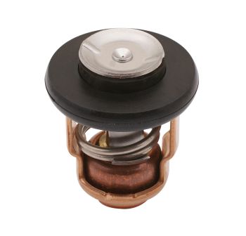 Sea-X thermostat 60°C/140°F Yamaha