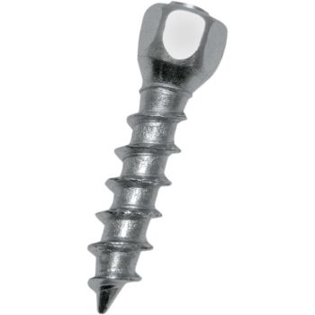 SCREWS TWIST 25MM 500PK