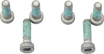 BRAKE ROTOR BOLTS