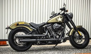 MUFFLERS 3 SLIP-ONS - SFTL 07-