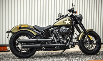 MUFFLERS 3.5 SLIP-ONS - FLDE/F