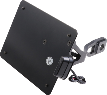 LICENSE PLATE AUS SCOUT