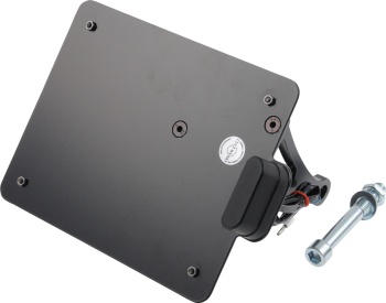 LICENSE PLATE AUS VROD