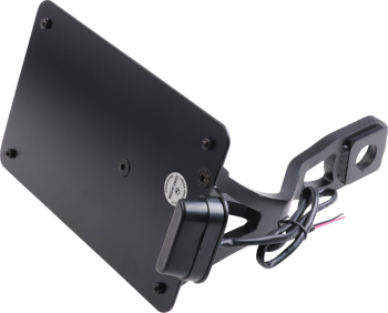 LICENSE PLATE FR SCOUT