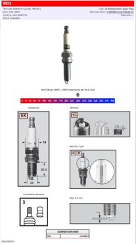 CHAMPION S-PLUG REK6YC