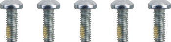 SCREWS F RTR 5/16-18TORX
