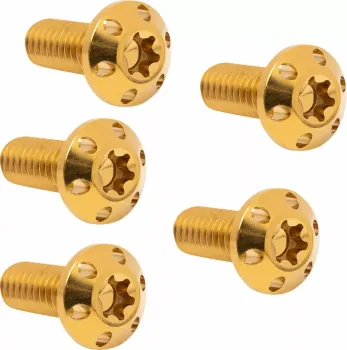 BOLT KIT ROTOR REAR HOLESHOT 5