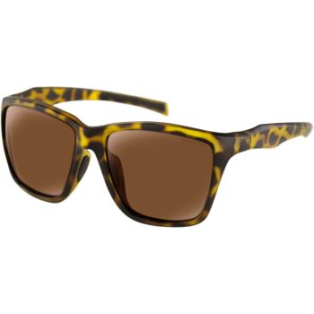 SUNGLASSES ANCHOR BROWN